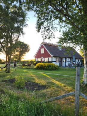 Mölle Vattenmöllan, Mölle